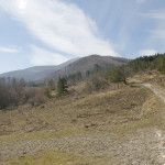 Jori Cherubini - Concorso Macchia Faggeta Sentiero di montagna