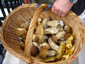 funghi_porcini_cesto