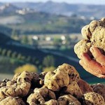 67tartufo-bianco-crete-senesi