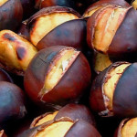 Castagne