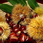 autunno-e-tempo-di-castagne-L-KdGDtN-624x468