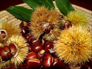 autunno-e-tempo-di-castagne-L-KdGDtN-624x468