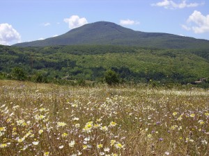 Monte Amiata