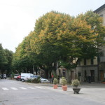 viale roma