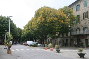 viale roma