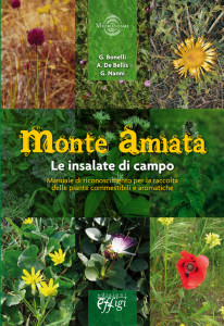 Monte-Amiata-Insalate-di-campo-copertina