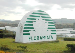 floramiata